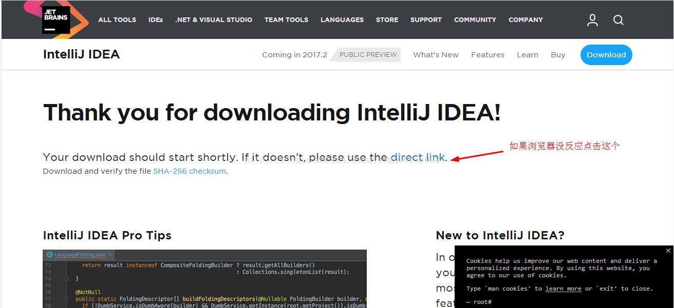 IntelliJ IDEA详细安装与破解步骤(图2)